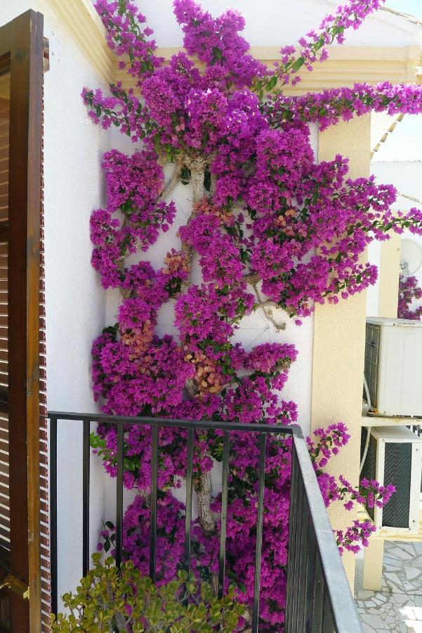 Sunny Coastal 1 Bed Apartment - Vera Coast: 2Mins To Beach Los Amarguillos 外观 照片